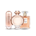 PACK DE 3 PERFUMES: 212 VIP ROSÉ, OLYMPÉA, COCONUT MADEMOISELLE 100 ml